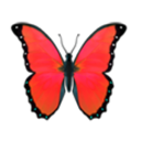 :bf3: Discord Emote