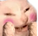 catHehe