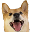 milo_happy