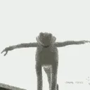 kermitsuicide