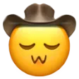 uwuCowboy