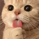lickkk