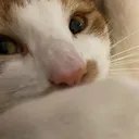 tired