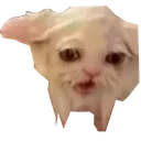 Cat Sad catsad Discord Emoji