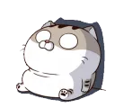 catoof