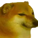 doge