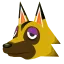 kyle kyle
