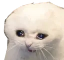 CATCRY