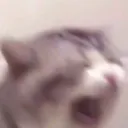 screme