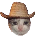 yeehaw