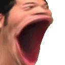 NM_BigPog