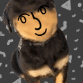 pansexualss