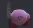heykirbyplsno Discord Emoji
