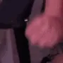 catBite