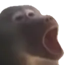 PogBaboon