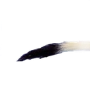 noodl1 Discord emoji