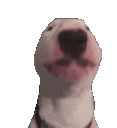 walterdance Discord emoji