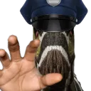 Camptopolicetakesyouin
