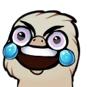 LaughCryRose