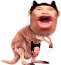 POGGAROO
