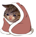 sad_cat_blanket Discord emoji