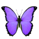 wbRushzbuttepurple Discord Emoji