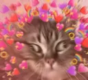 r_kitty_confused_love