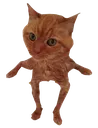 Cat_Cursed Discord Emoji