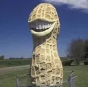 amrpeanut