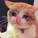 SadCat8 Discord Emoji