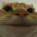 __