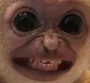Monke Monke
