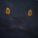 WulgWhat