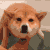 BL_sekasmrdi Discord emoji