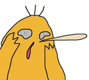 duckYo