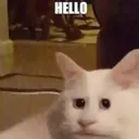 hello hello