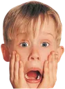 homealone
