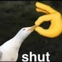 shut