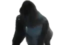 apeSpin