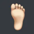 foot