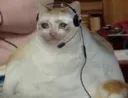 SadCat9