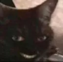 cat_smrik