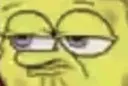 spongejudge