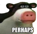 perhaps perhaps