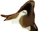 einGASM