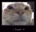 ihateu