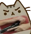 pusheenGlock pusheenGlock