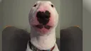 walter