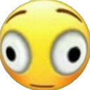 ndsurprise Discord emoji