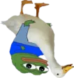 DuckAbove